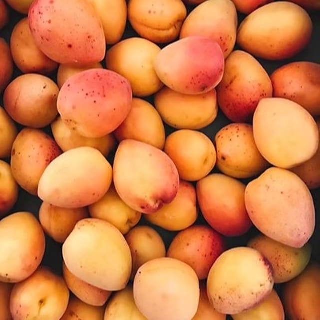 Blenheim Apricot White Balsamic.