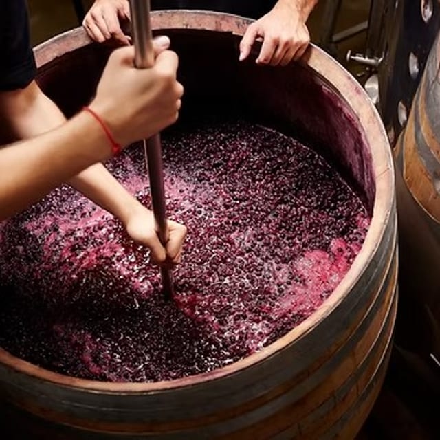 Barrel-aged Red Wine White Balsamic.