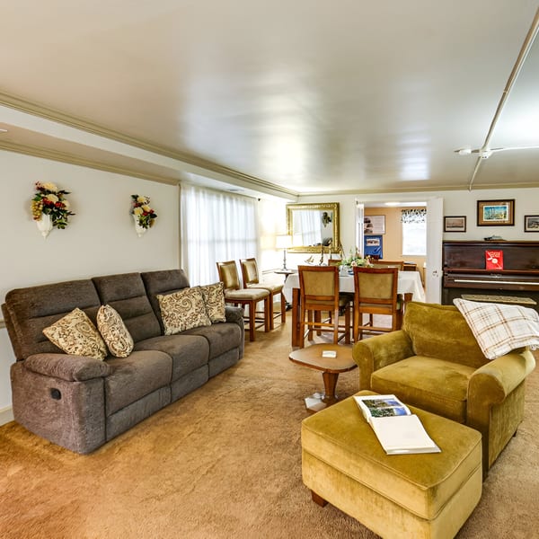 A cozy living room area with a brown sofa, gold armchair, and dining table in the background.
